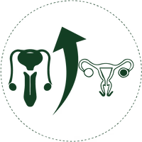 Vitalizes reproductive tissue